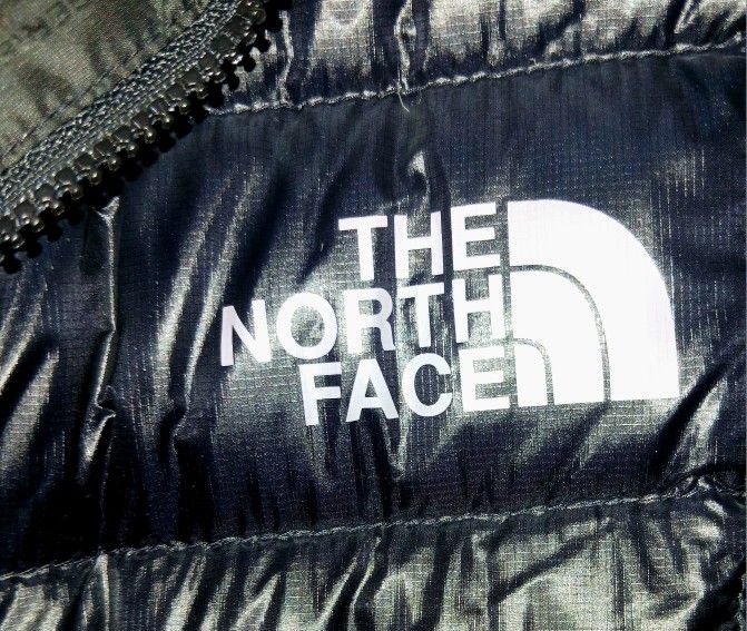 Northface Vest