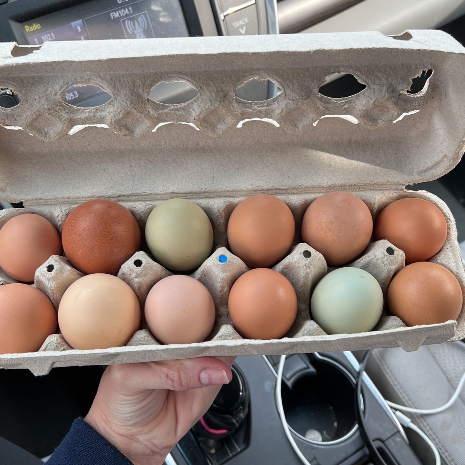 Eggs
