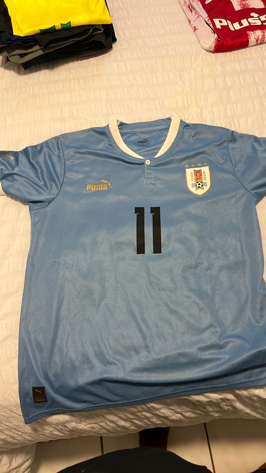 Uruguay Puma Darwin Nuñez Jersey