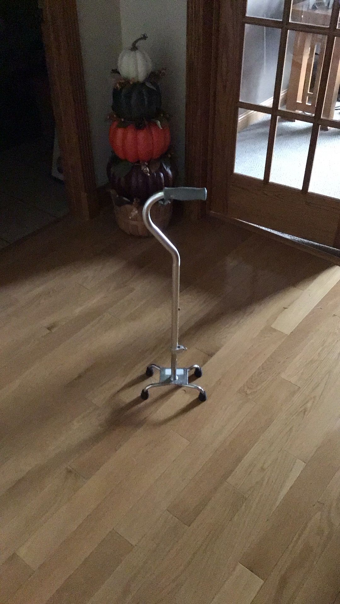 Quad Footed Cane