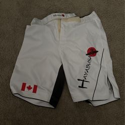 George st pierre MMA Shorts