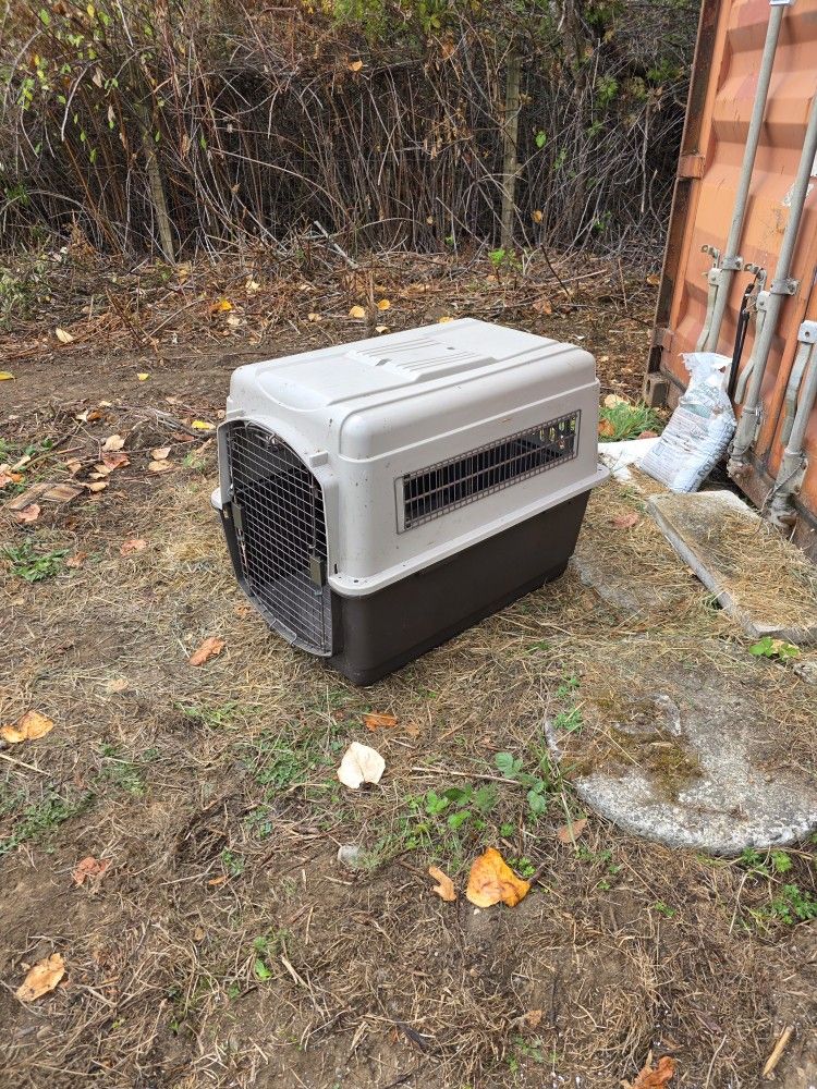 Large Dog Kennel