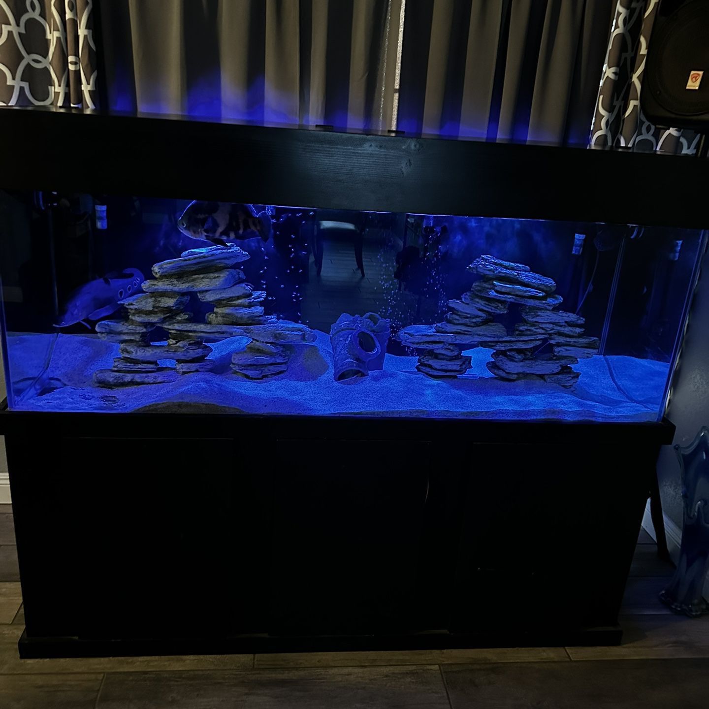 180 Gallon Fish Tank 