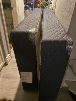 Twin box springs