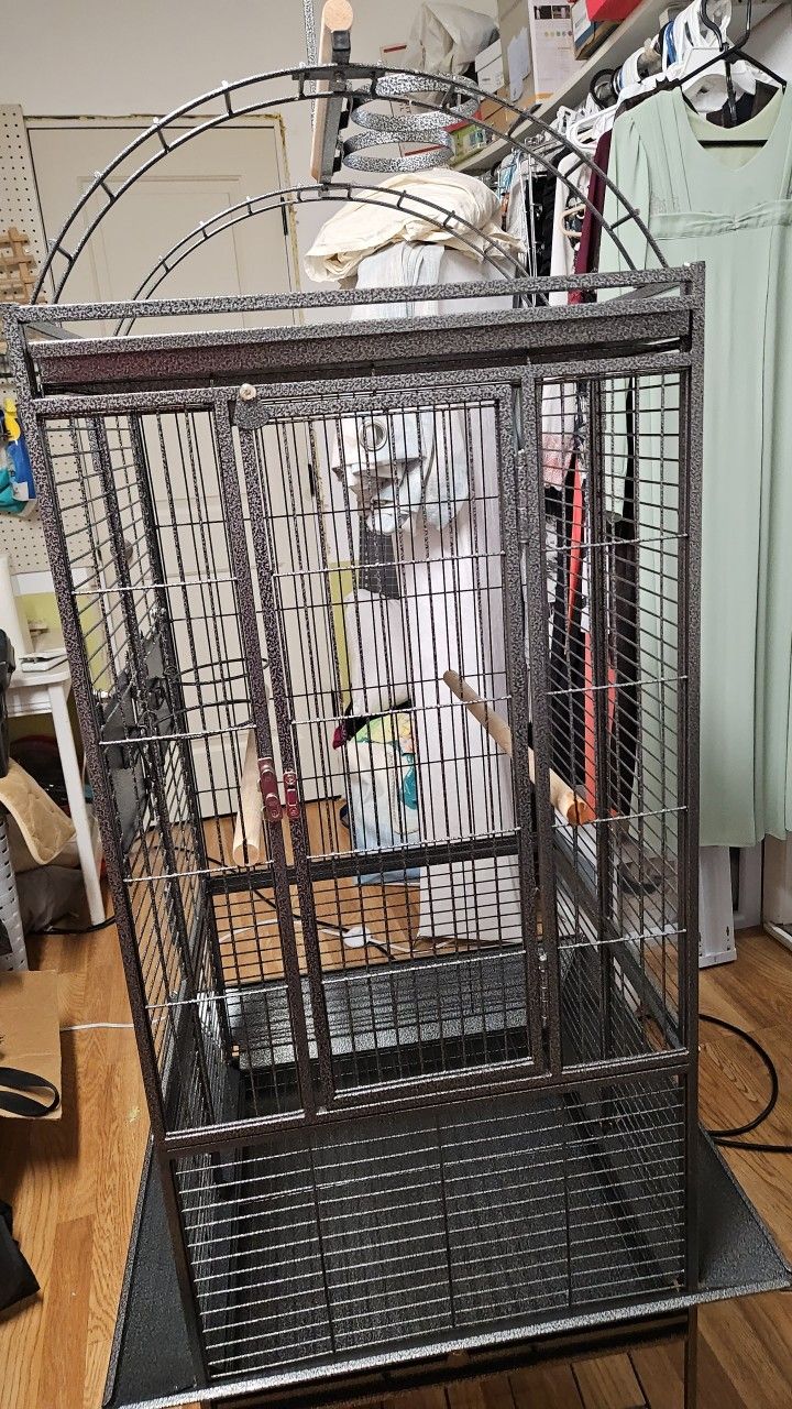 Black Bird Cage