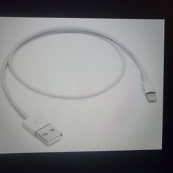 Apple Lightning To USB Cable (0.5m)