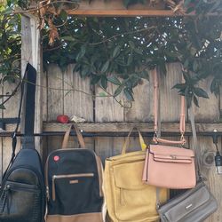 Purses/Backpacks 