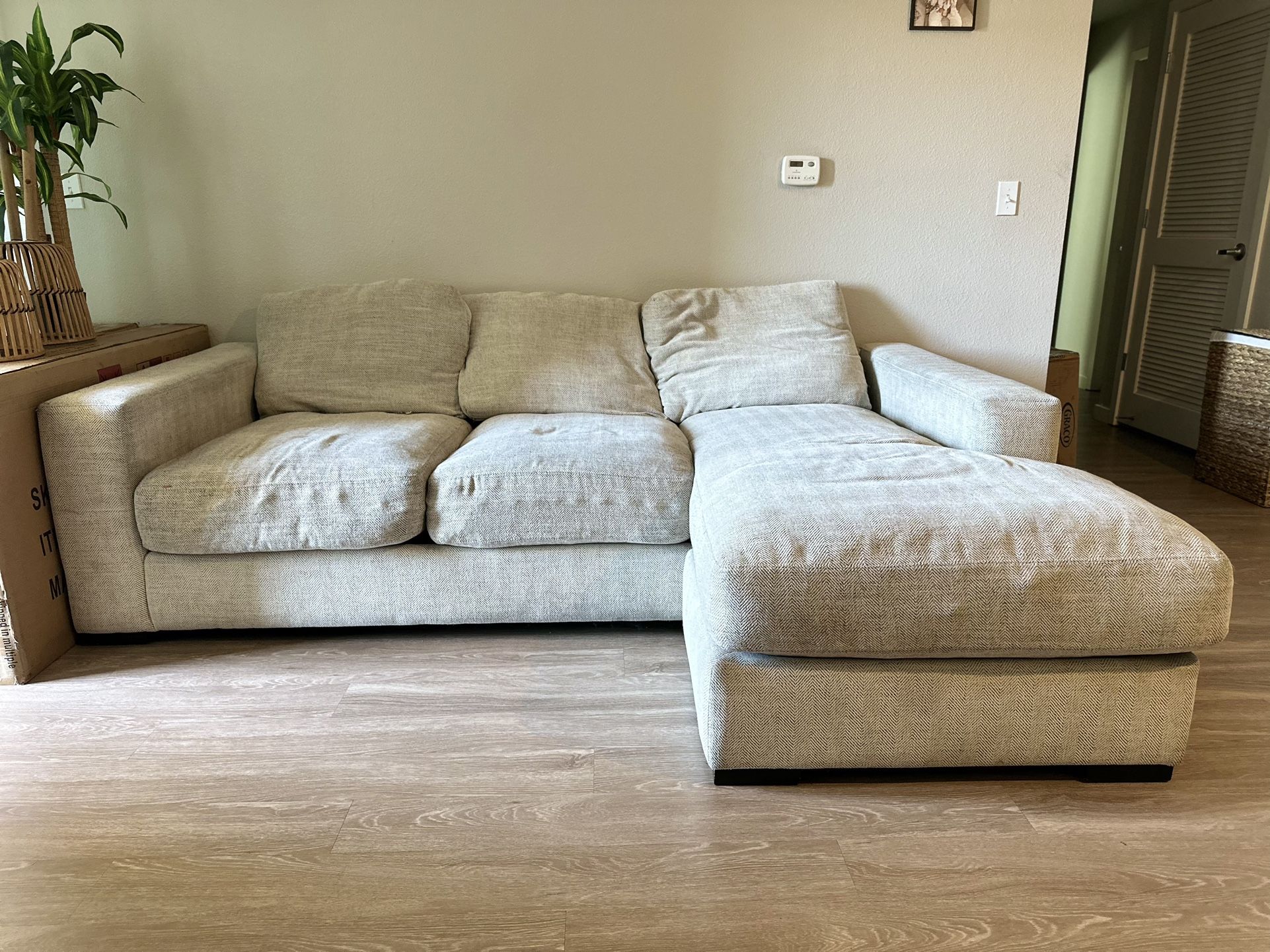 FREE COUCH