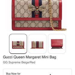 Gucci Wallet On Chain 