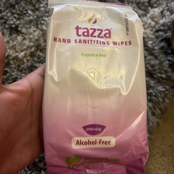 Hand Sanitizing Wipes 