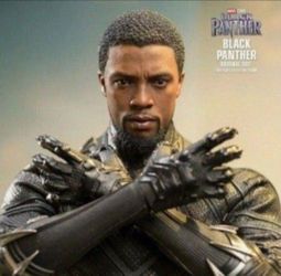 Hot Toys 🔥 Black Panther