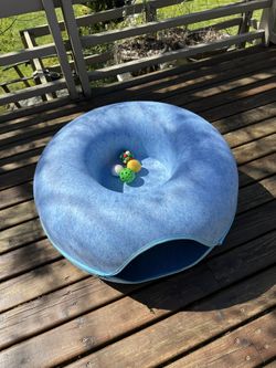 Cat Play Donut