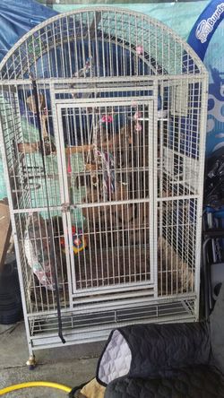 Solid metal bird cage 8f×3f