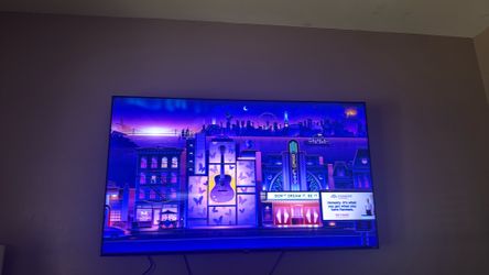 65 inch flat screen.