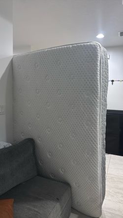 Free king mattress