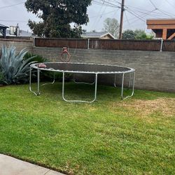 Trampoline For Free