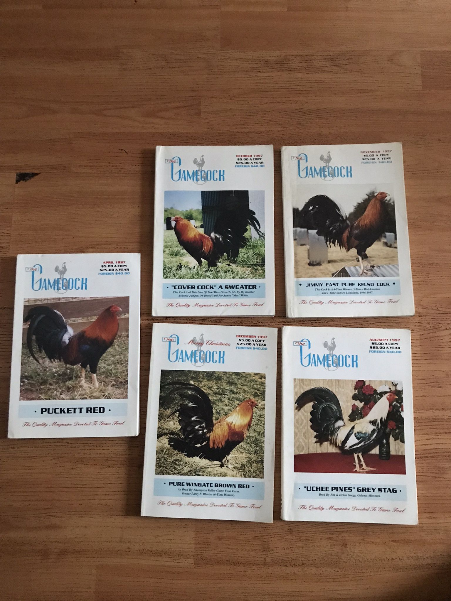 Libros De Gallos