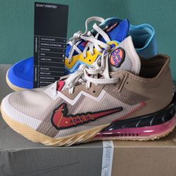 Nike LeBron 18 Low WilE E Vs Roadrunner Brand New Size 10.5