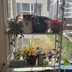 4 Tier Metallic Plant Stand