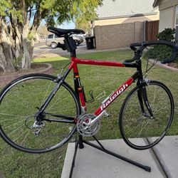 Raleigh Team Bike 56.  Great Shape  With Bonus!!! Must See  