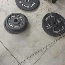 Bench, Bars, And Olympic Plates 