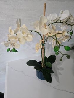 Faux Orchid