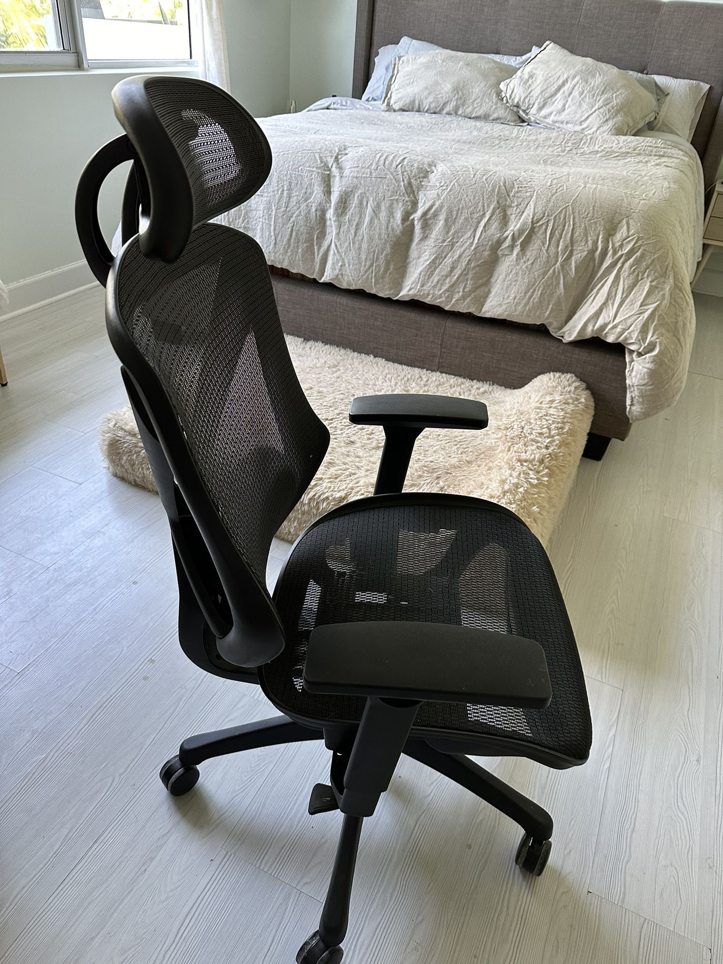 Ergonomic Office Chair