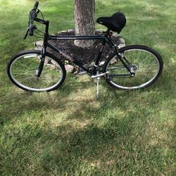 26” Trek Mountain Bike (xl Frame)