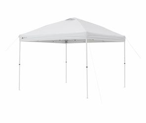 10 x 10 canopy tent