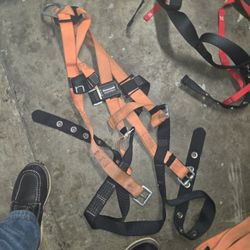  4 Body Harnesses 