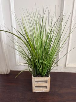 artificial plant