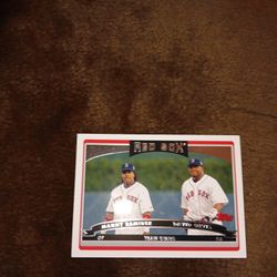 BOSTON  RED SOXS 