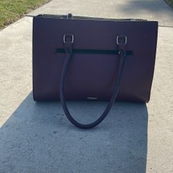 Aldo Purse Purple
