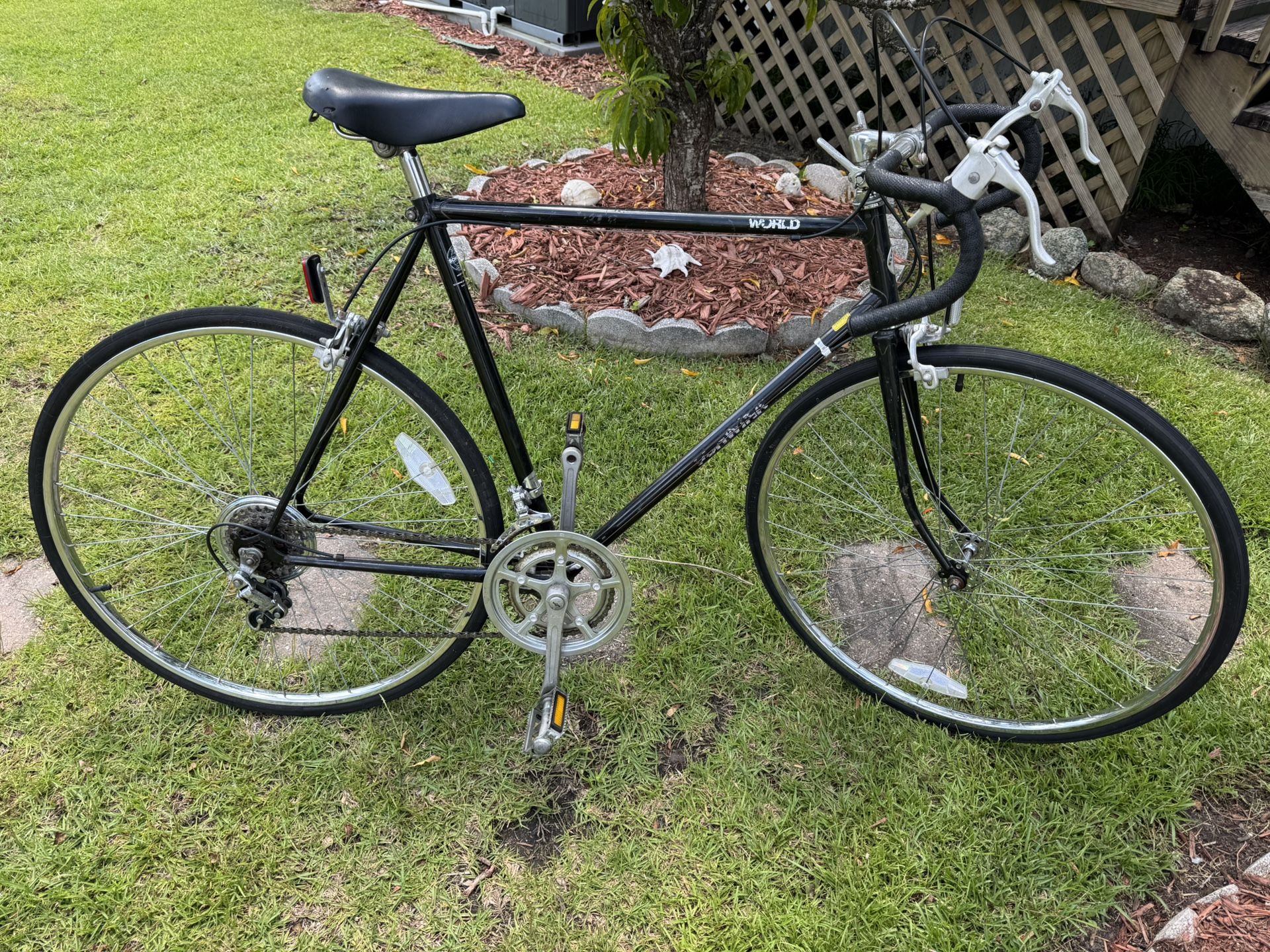 Schwinn World 10 Speed Bicycle