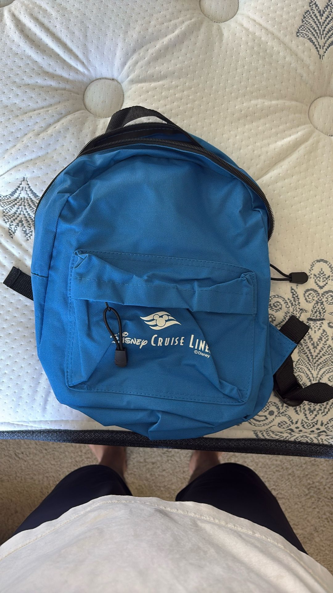 Disney Cruise Line Bag Small