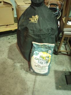 Used Big Egg