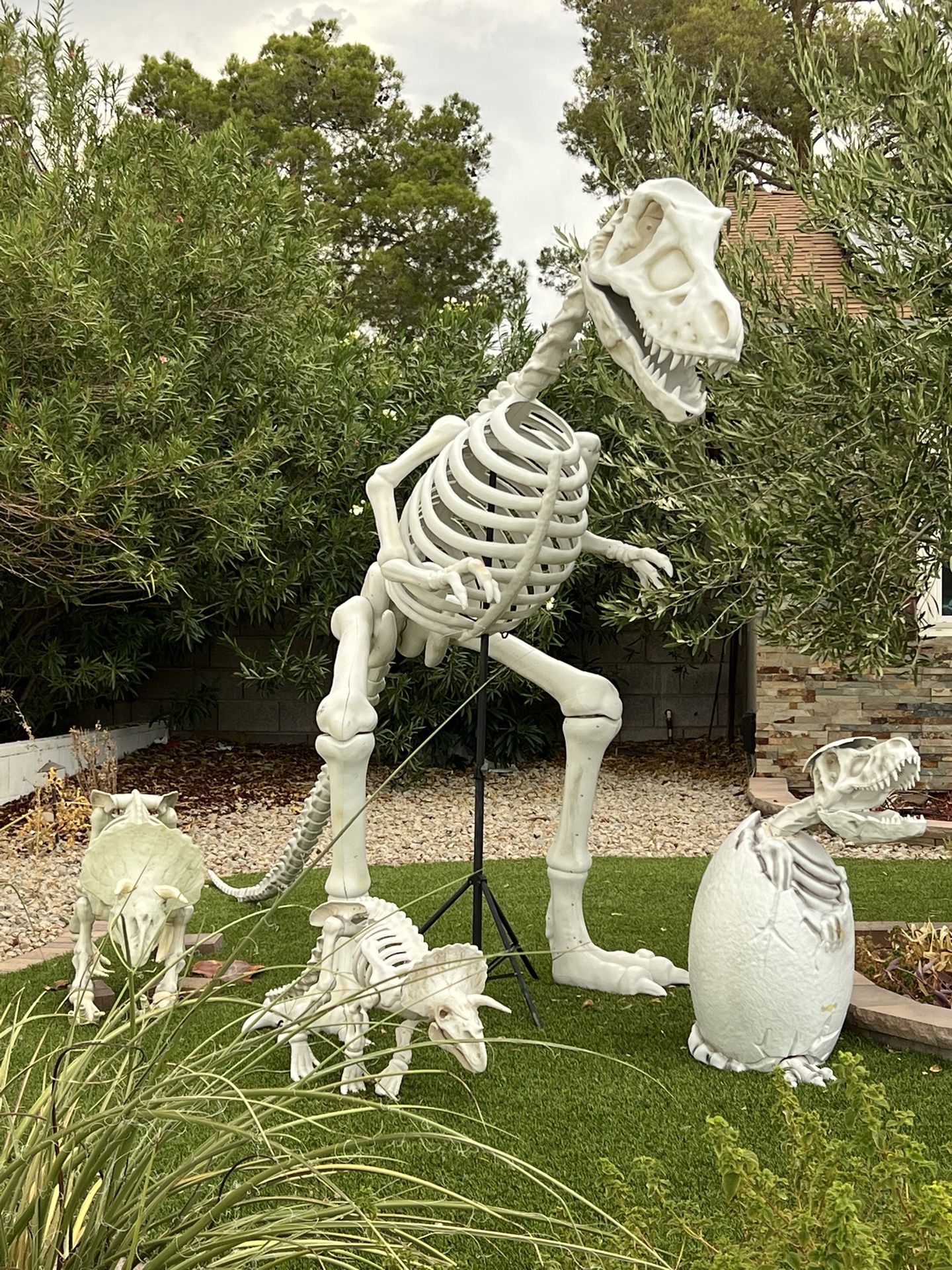 8ft T-Rex Skeleton Dinosaur And Friends Halloween