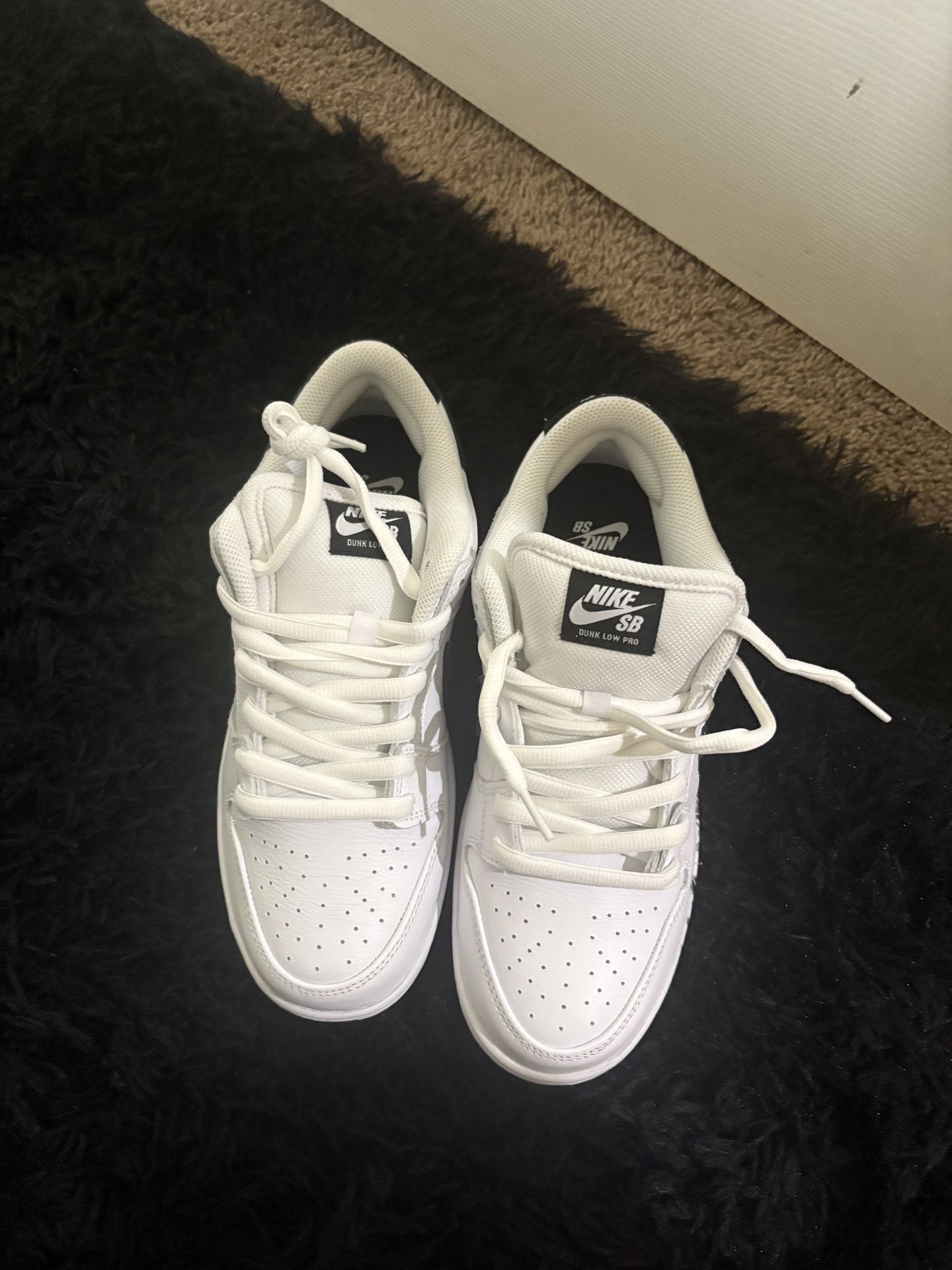 Nike Dunk Sb’s