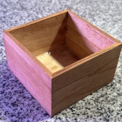 Magnetic Plant Pot Succulents