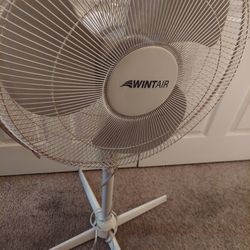 Fan Works Perfect 