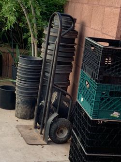 Plant buckets container