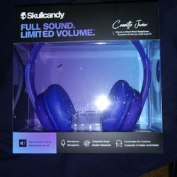 Skull Candy Headphones W/ Mic