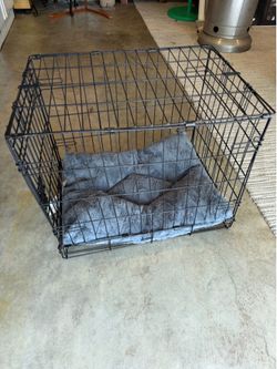 Foldable Metal Dog Crate w/ Bed – Great Condition