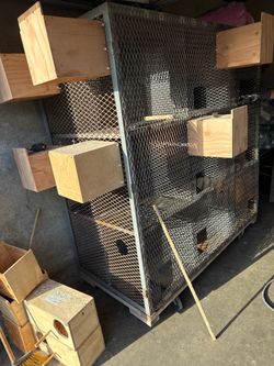 Bird Cage