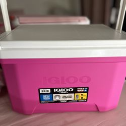 $20 New Pink Igloo Cooler