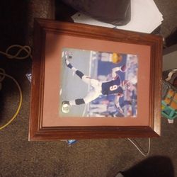 Carson Palmer NFL Picture 