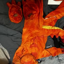 3T/4T Boys Dino Costume