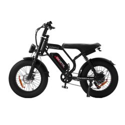Electric Bike 