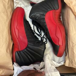 Jordan 12 Flu Game 