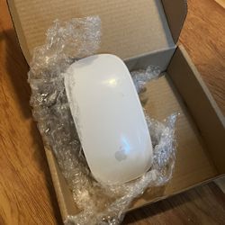 Apple Magic  Mouse Wireless